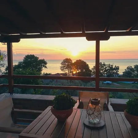 Olivia's חורפטו