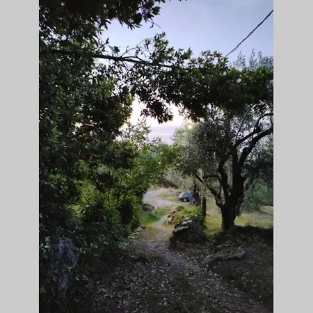 Case de vacanță Olivia's *