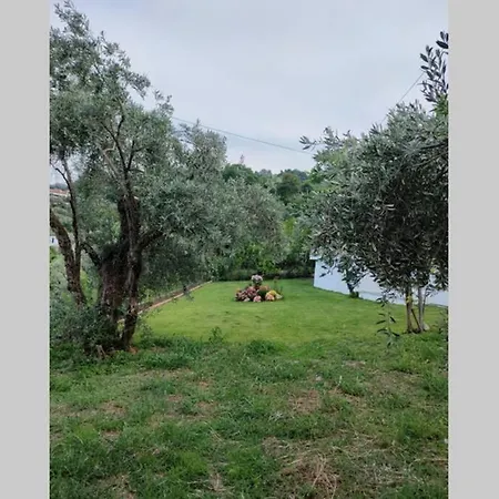 Olivia's חורפטו